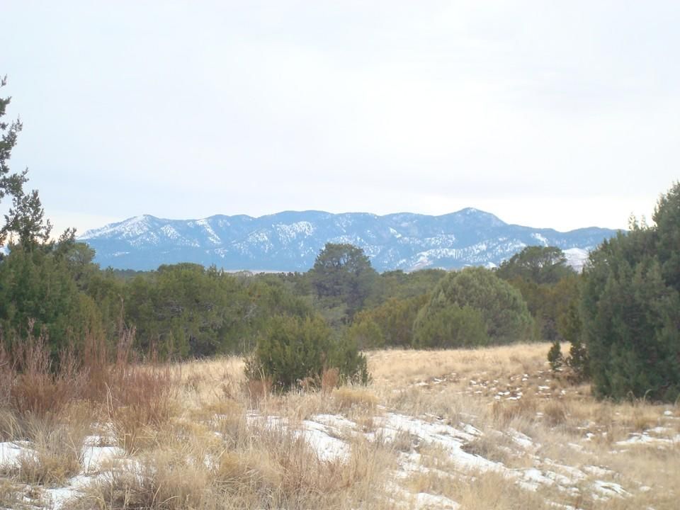 Torreon, Torrance County, NM Undeveloped Land for sale Property ID 408971103 LandWatch