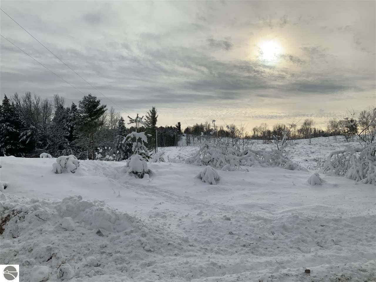 Reed City, Newaygo County, MI Undeveloped Land for sale Property ID