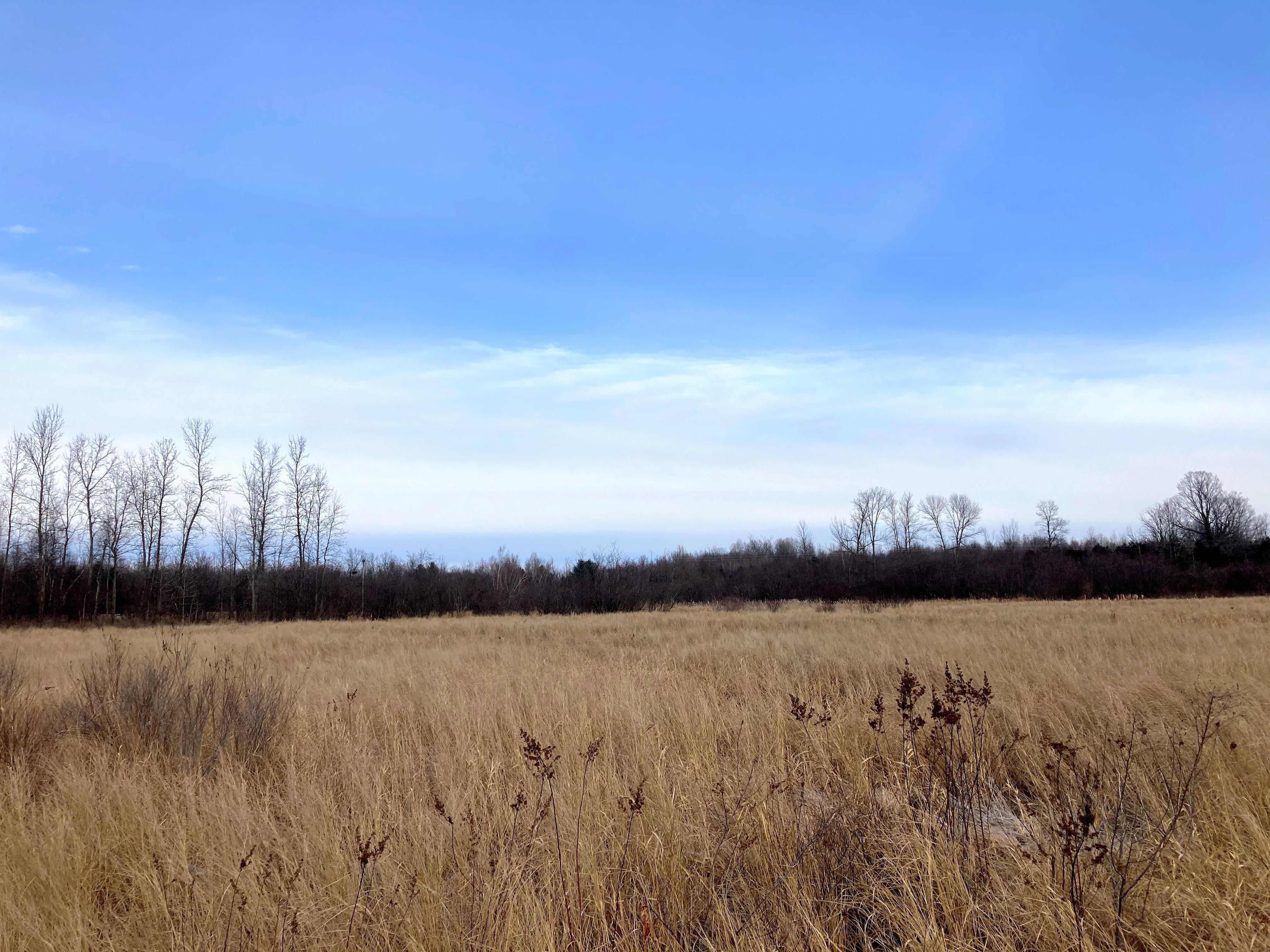 Potsdam, Saint Lawrence County, NY Undeveloped Land, Hunting Property for sale Property ID