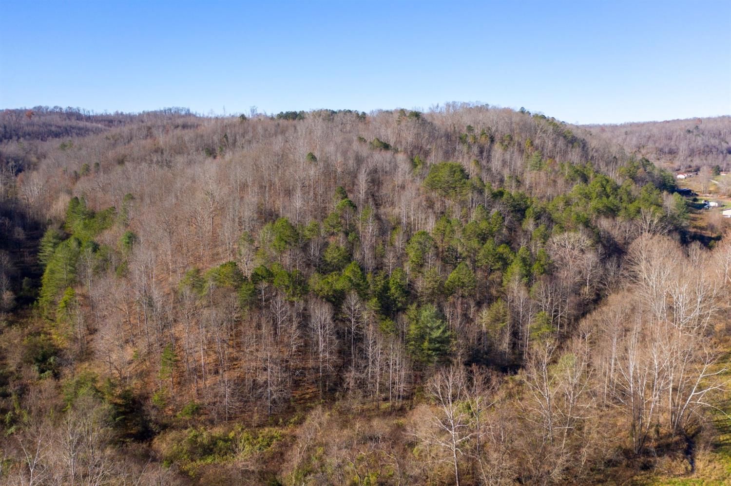Grayson, Carter County, KY Farms and Ranches for sale Property ID