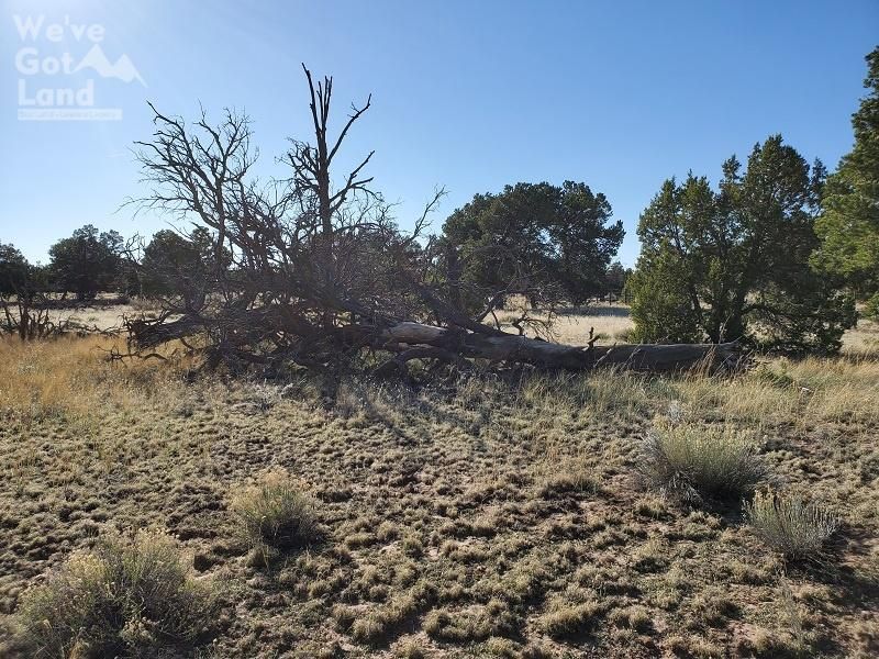 Elim Haven Road, Coolidge, NM 87301 MLS R177962 LandWatch