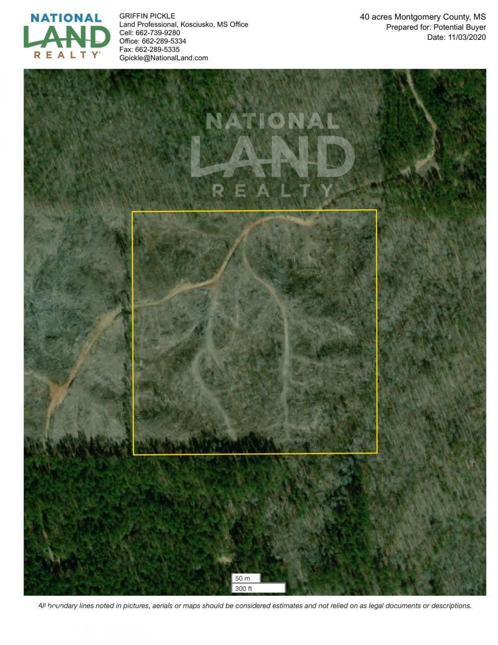 Winona, Montgomery County, MS Recreational Property, Timberland