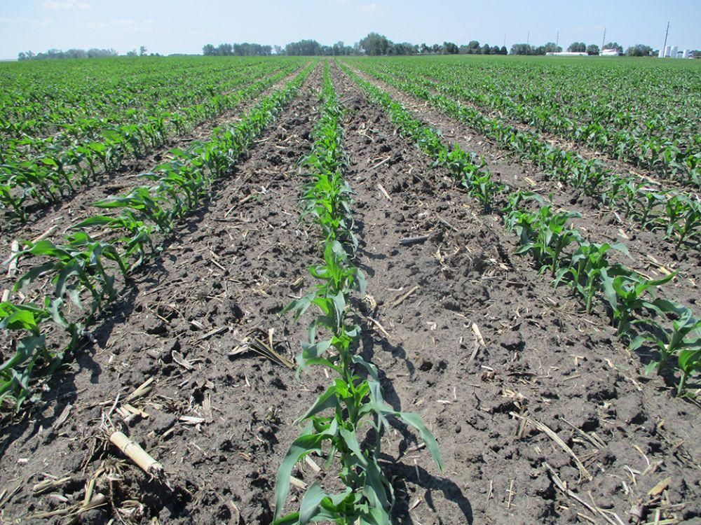 Rock Rapids, Lyon County, IA Farms and Ranches, Undeveloped Land for