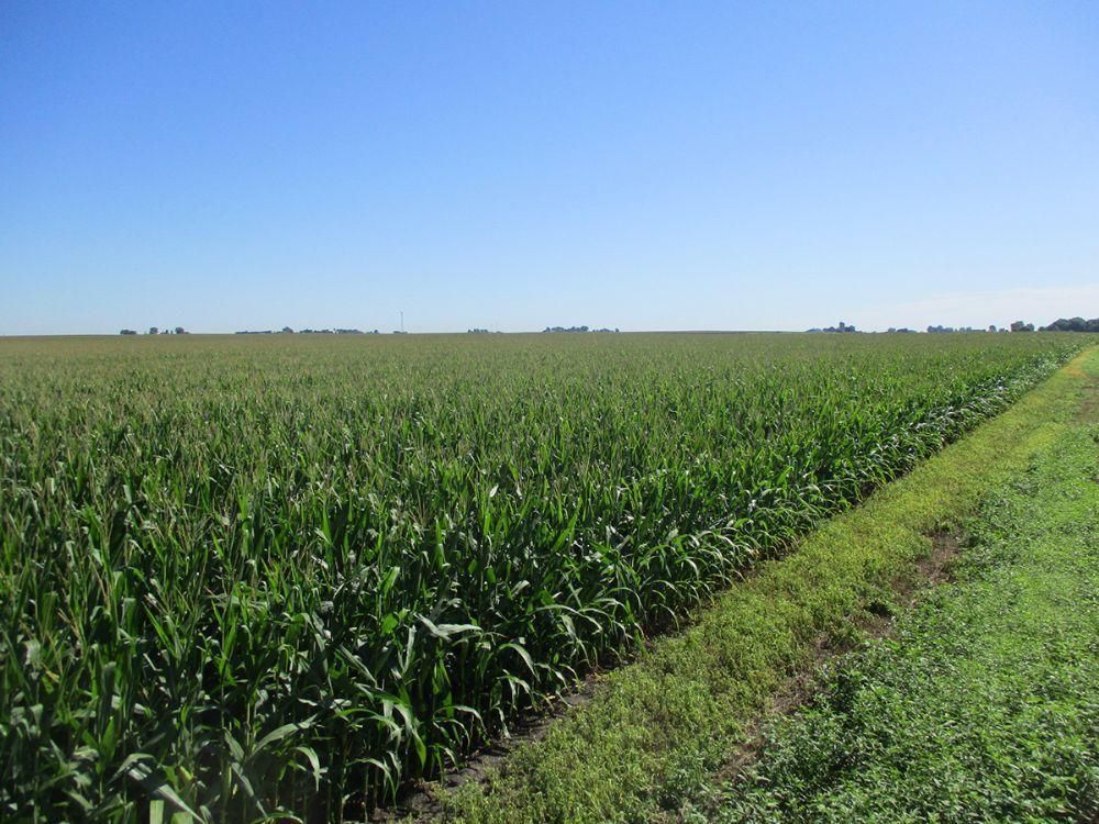 Leland, DeKalb County, IL Farms and Ranches for sale Property ID