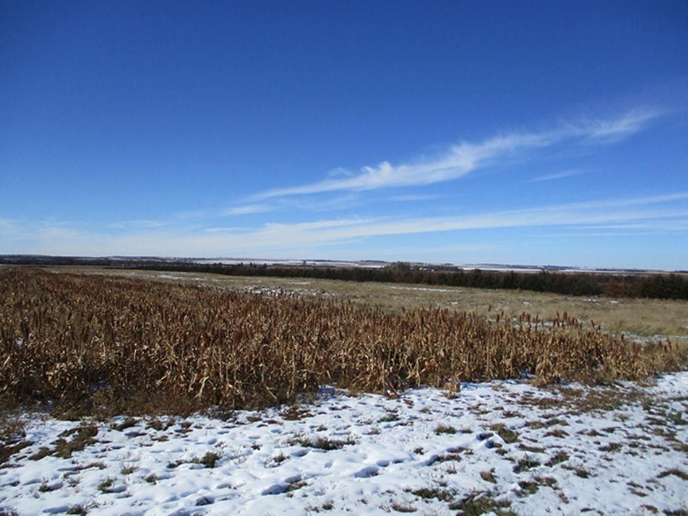 636.47 acres in Wessington Springs, SD, LandWatch