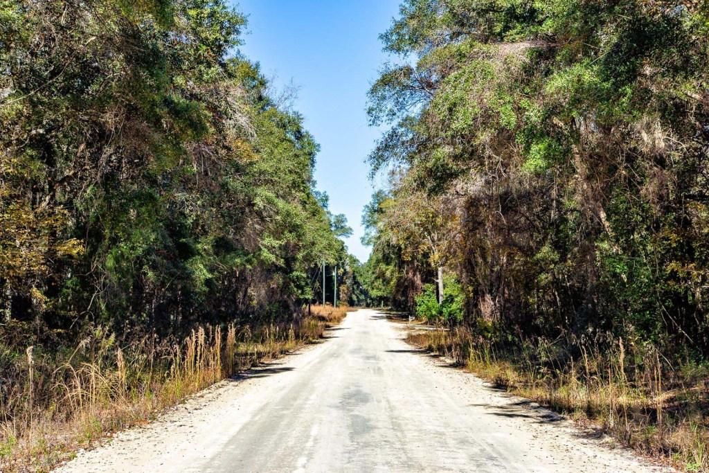 Old Town, Dixie County, FL Recreational Property, Undeveloped Land