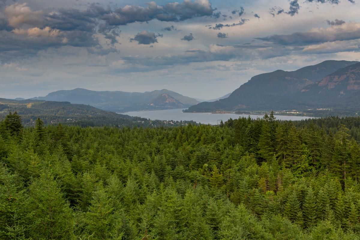 Stevenson, Skamania County, WA Recreational Property, Timberland