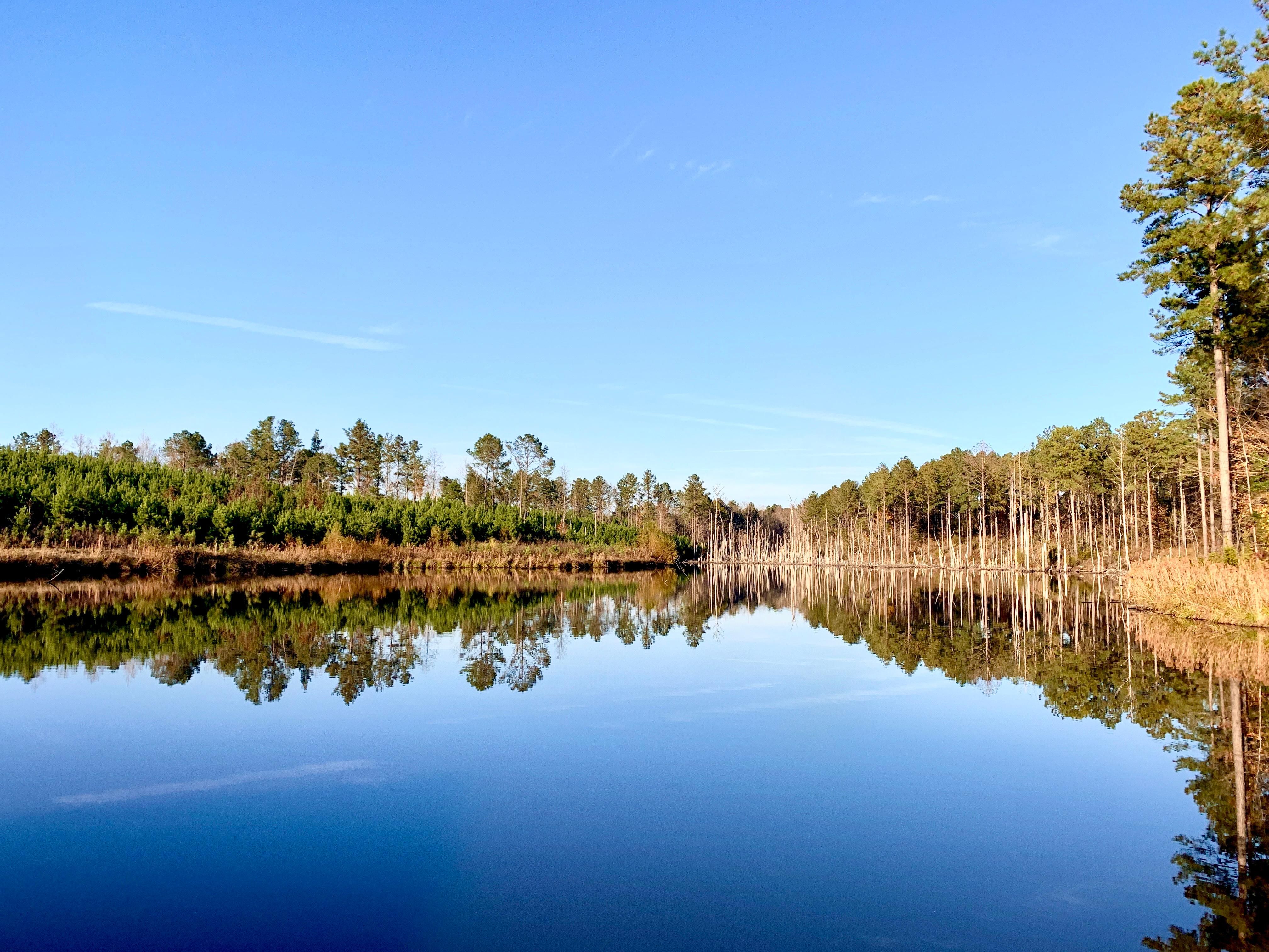 Linden, Marengo County, AL Recreational Property, Timberland Property, Hunting Property, House