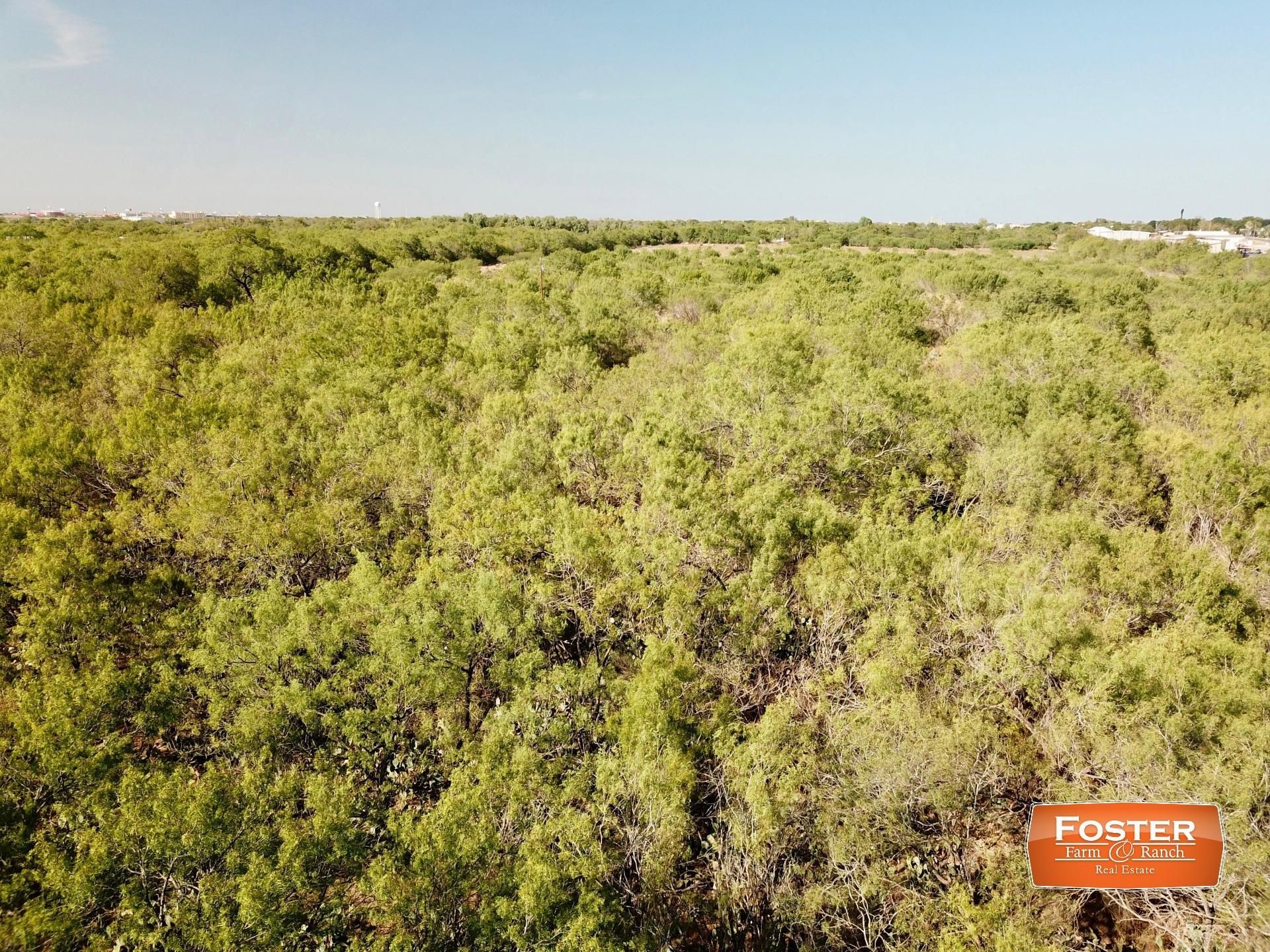 Pearsall, Frio County, TX Farms and Ranches, Recreational Property