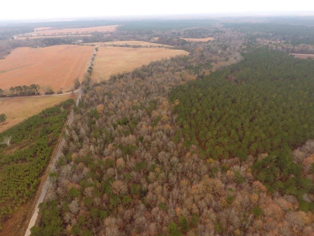 Arkadelphia, Clark County, AR Timberland Property, Undeveloped Land, Hunting Property for sale