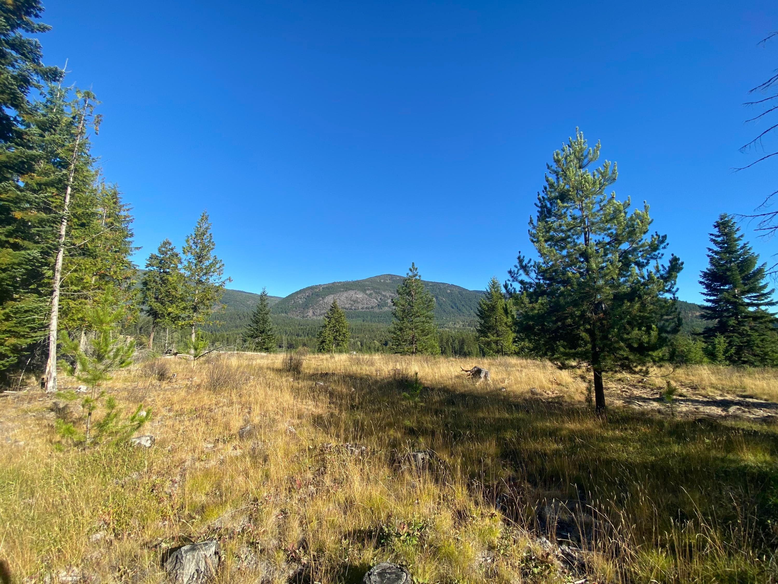 Bonners Ferry, Boundary County, ID Undeveloped Land for sale Property