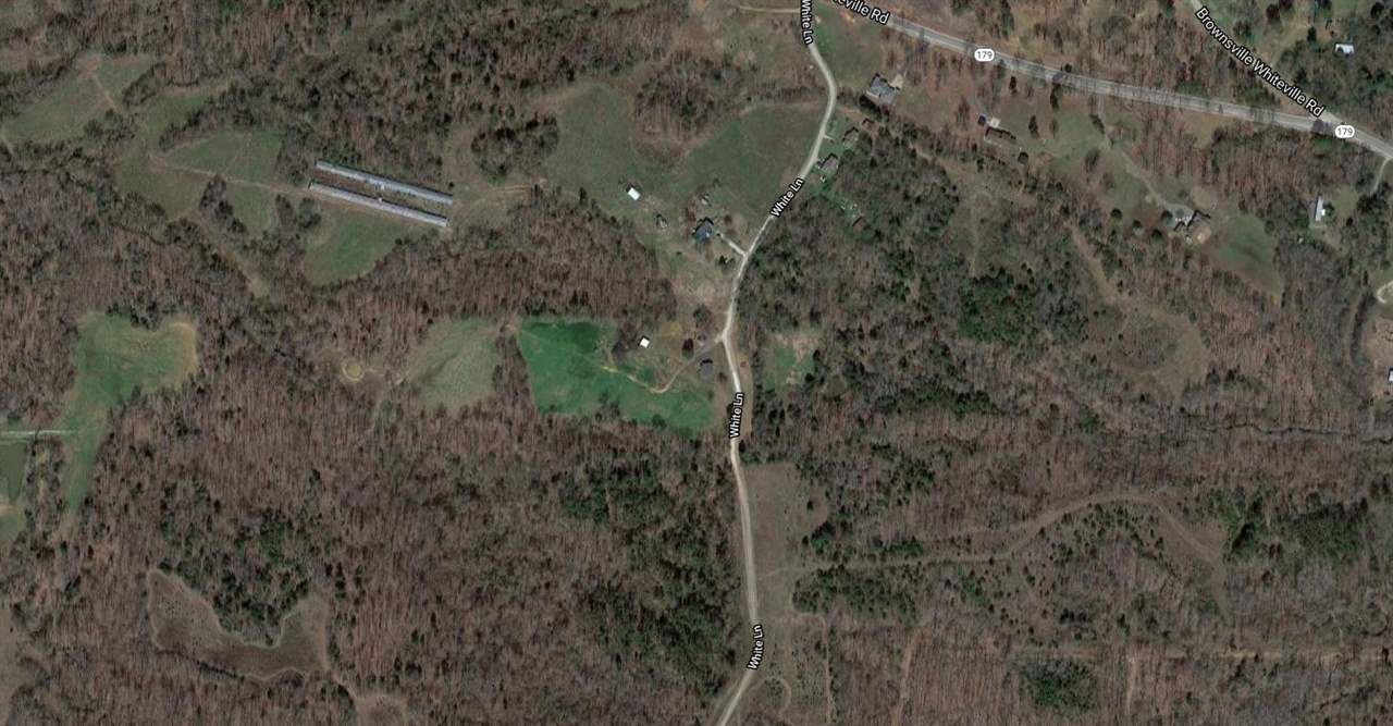 Whiteville, Hardeman County, TN Undeveloped Land for sale Property ID