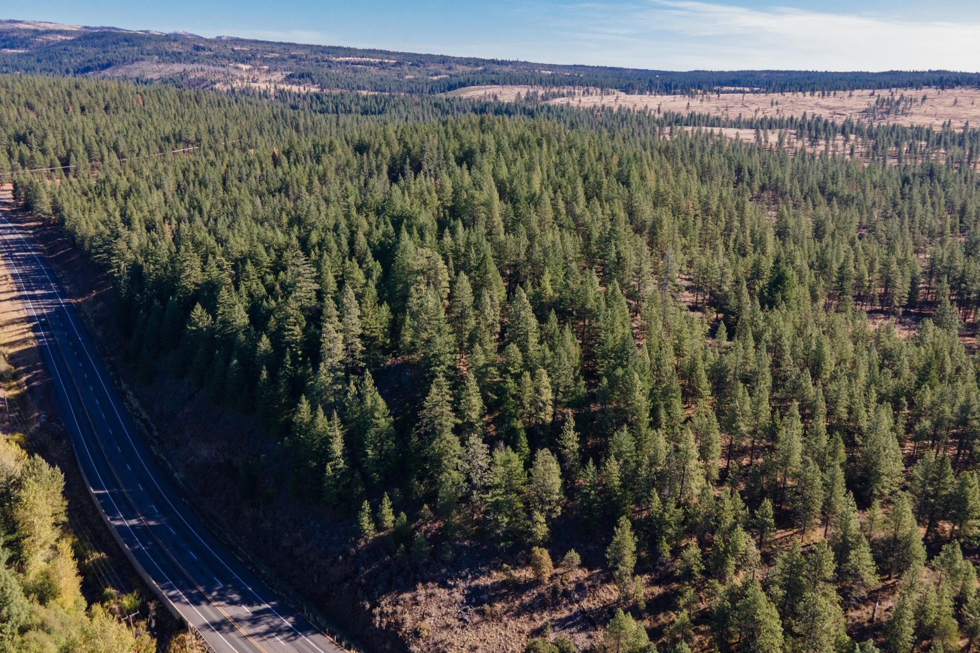 Goldendale, Klickitat County, WA Recreational Property, Undeveloped