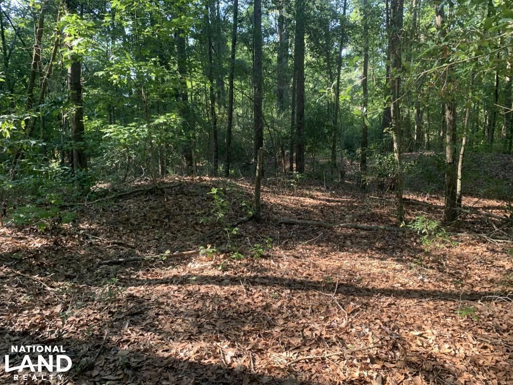 Garland, Sampson County, NC Recreational Property, Hunting Property