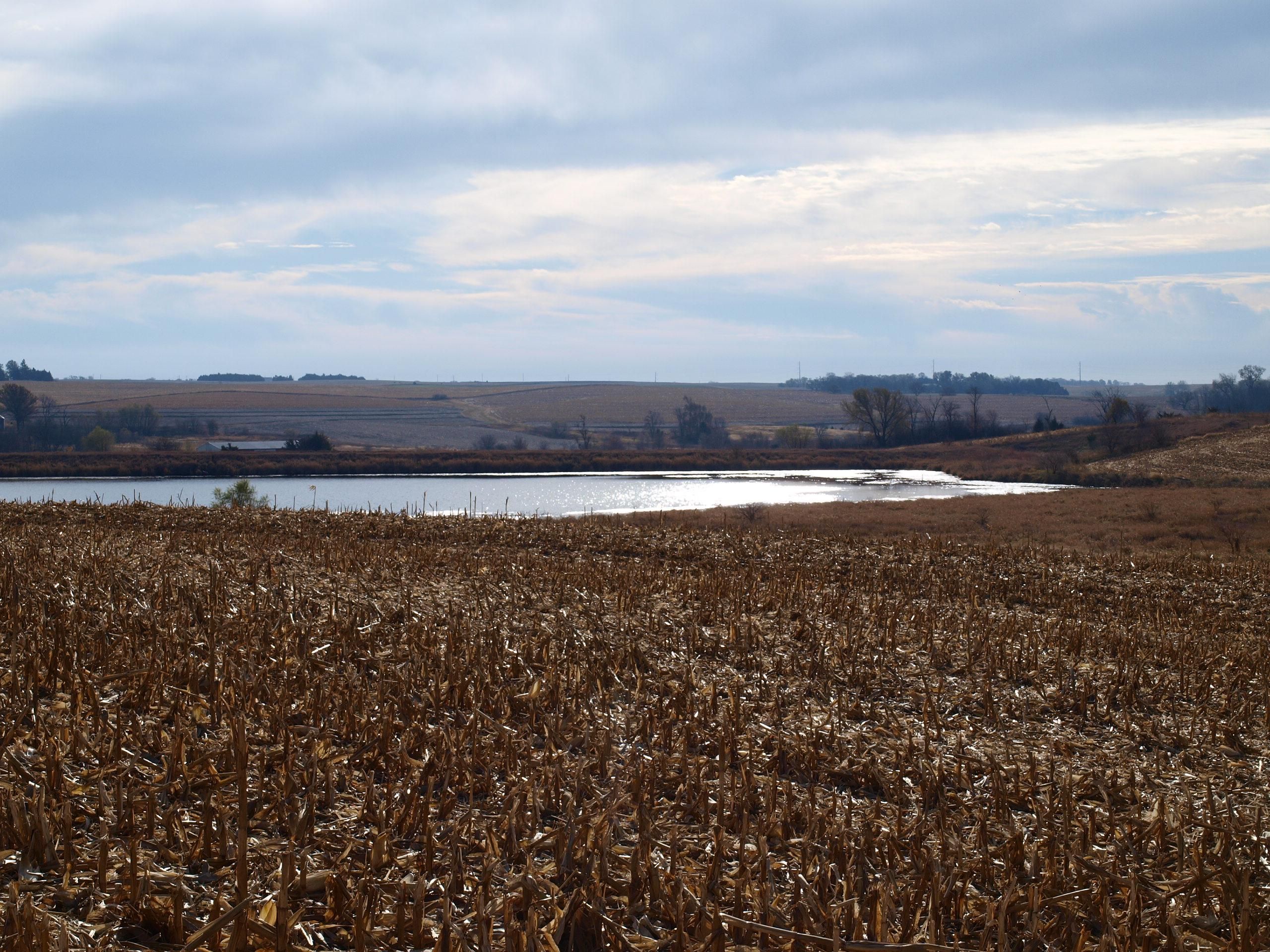 Dunbar, Otoe County, NE Farms and Ranches for sale Property ID