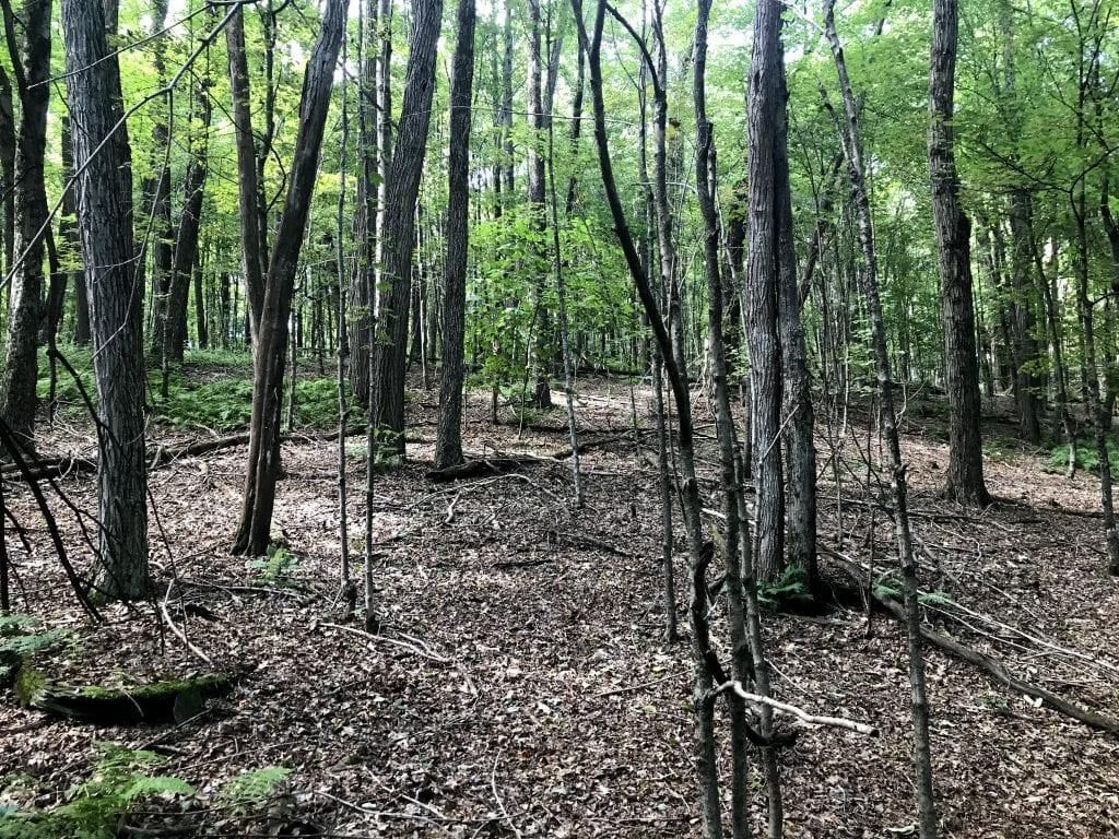 Kirkwood, Broome County, NY for sale Property ID 409102871 LandWatch