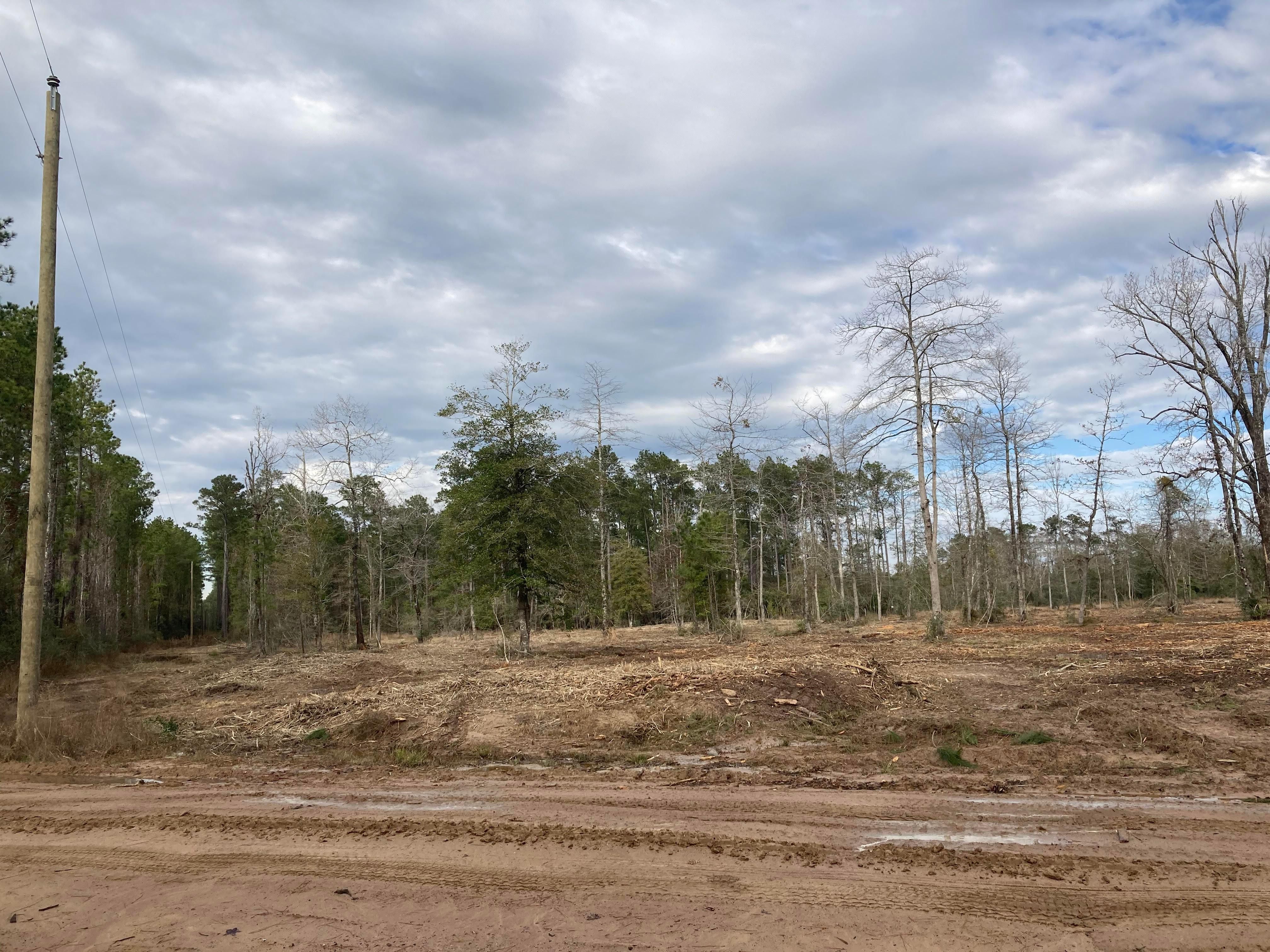 Jasper, Jasper County, TX Recreational Property, Hunting Property