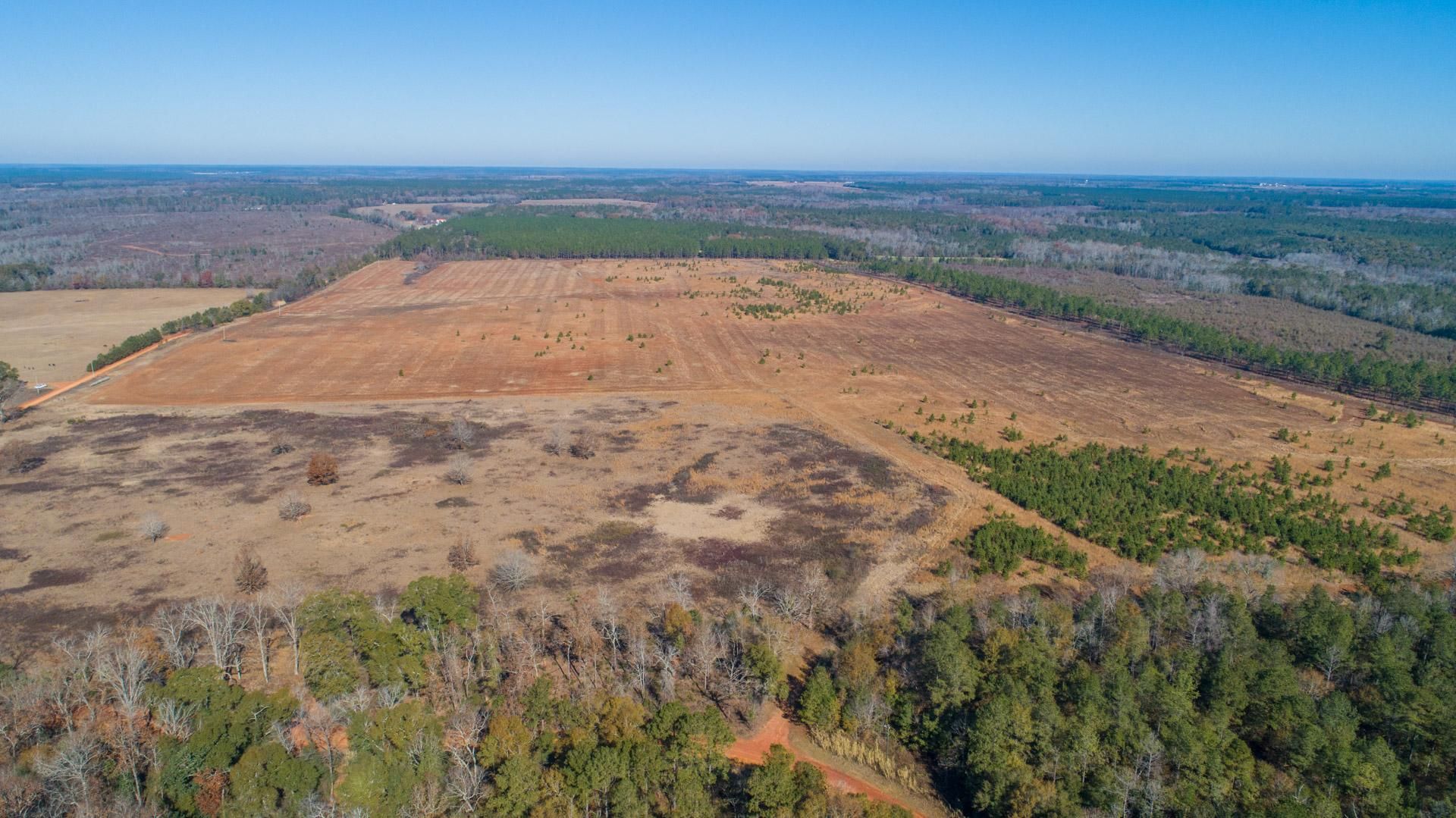 Plains, Sumter County, GA Farms and Ranches for auction Property ID