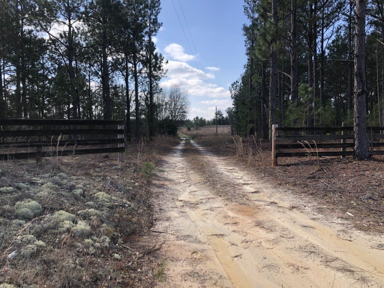 Kite, Johnson County, GA Timberland Property for sale Property ID