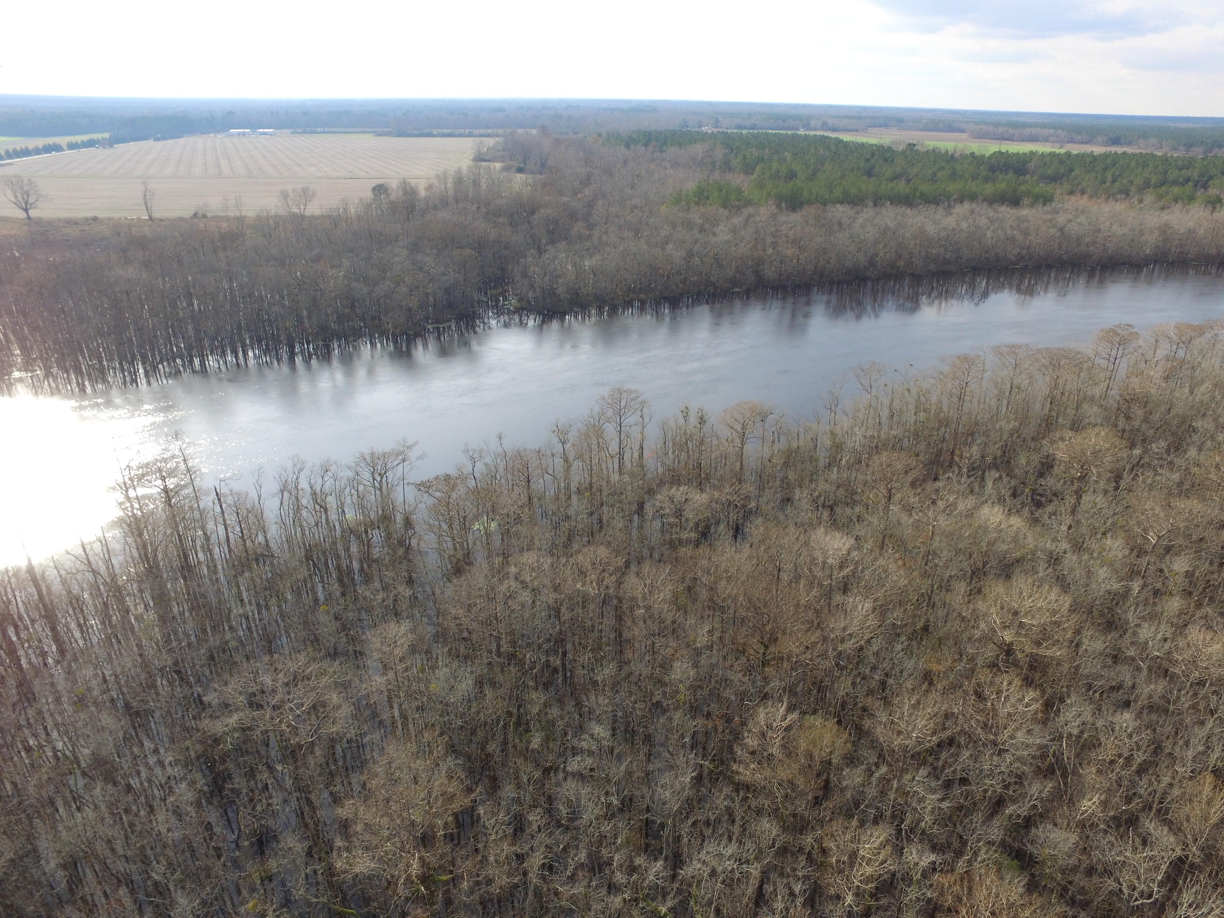 Rocky Point, Pender County, NC Recreational Property, Hunting Property