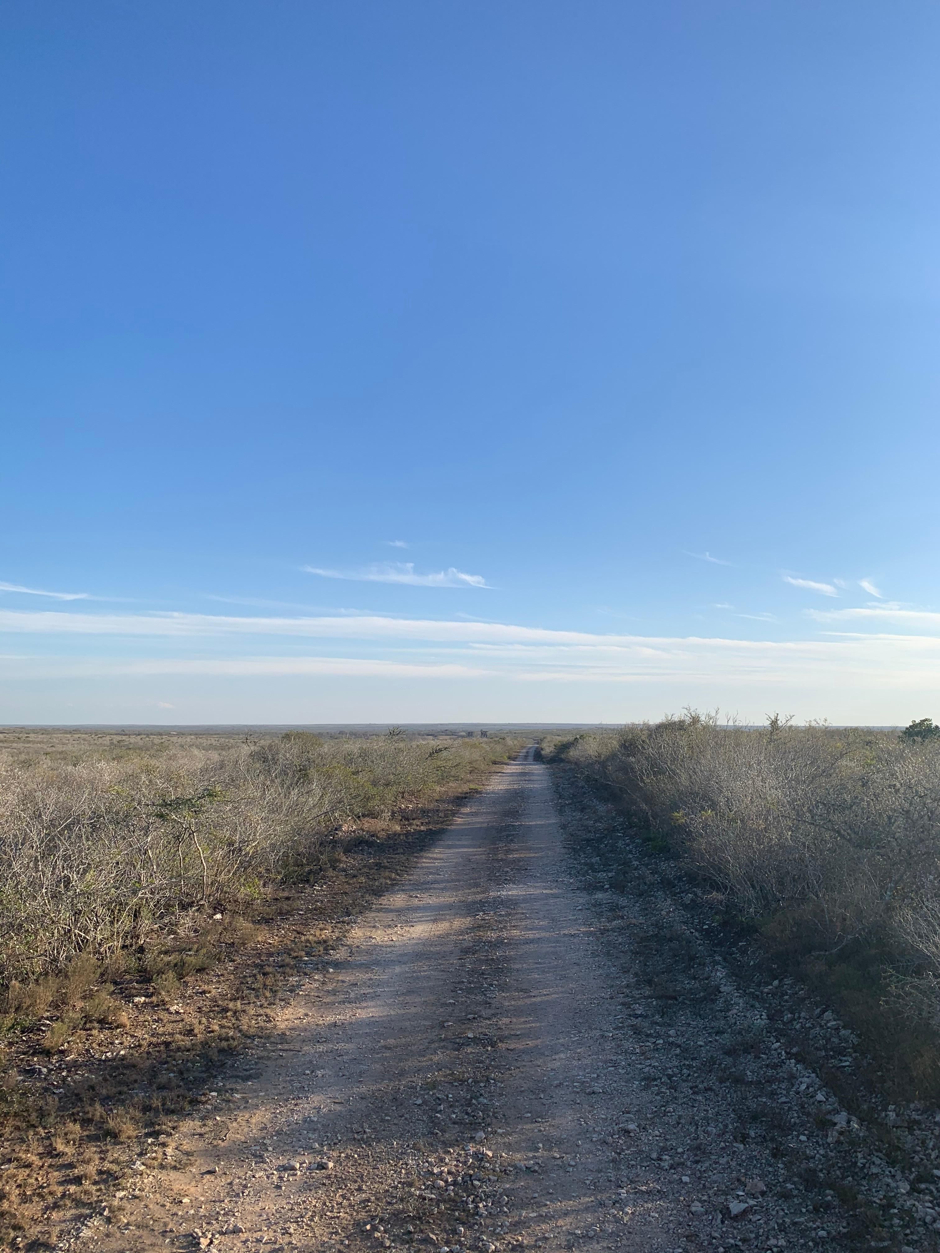 Freer, Duval County, TX Recreational Property, Hunting Property for