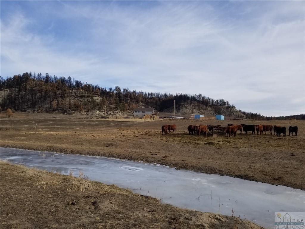 Roundup, Musselshell County, MT House for sale Property ID 408999606