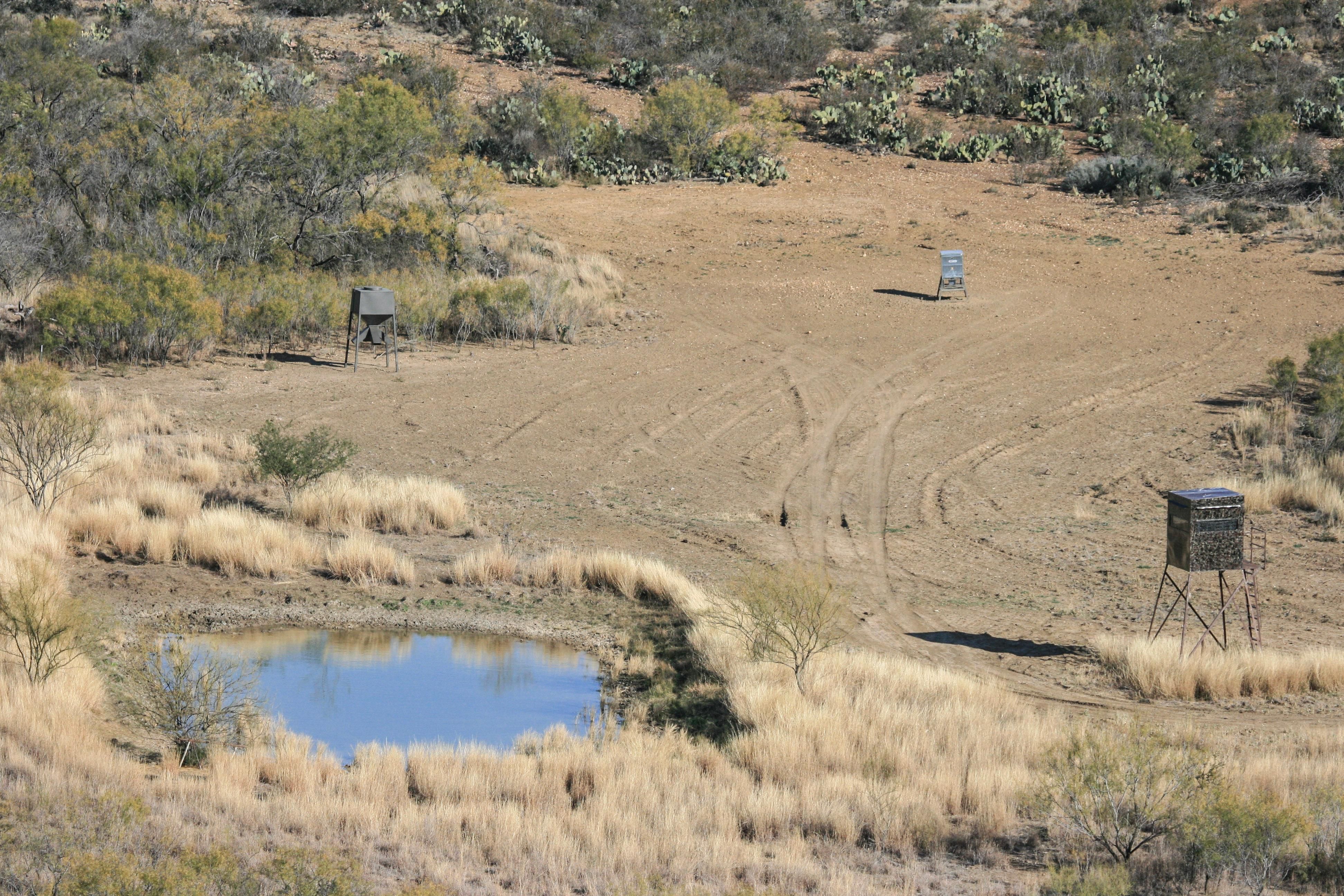 Crystal City, Zavala County, TX Farms and Ranches, Hunting Property for