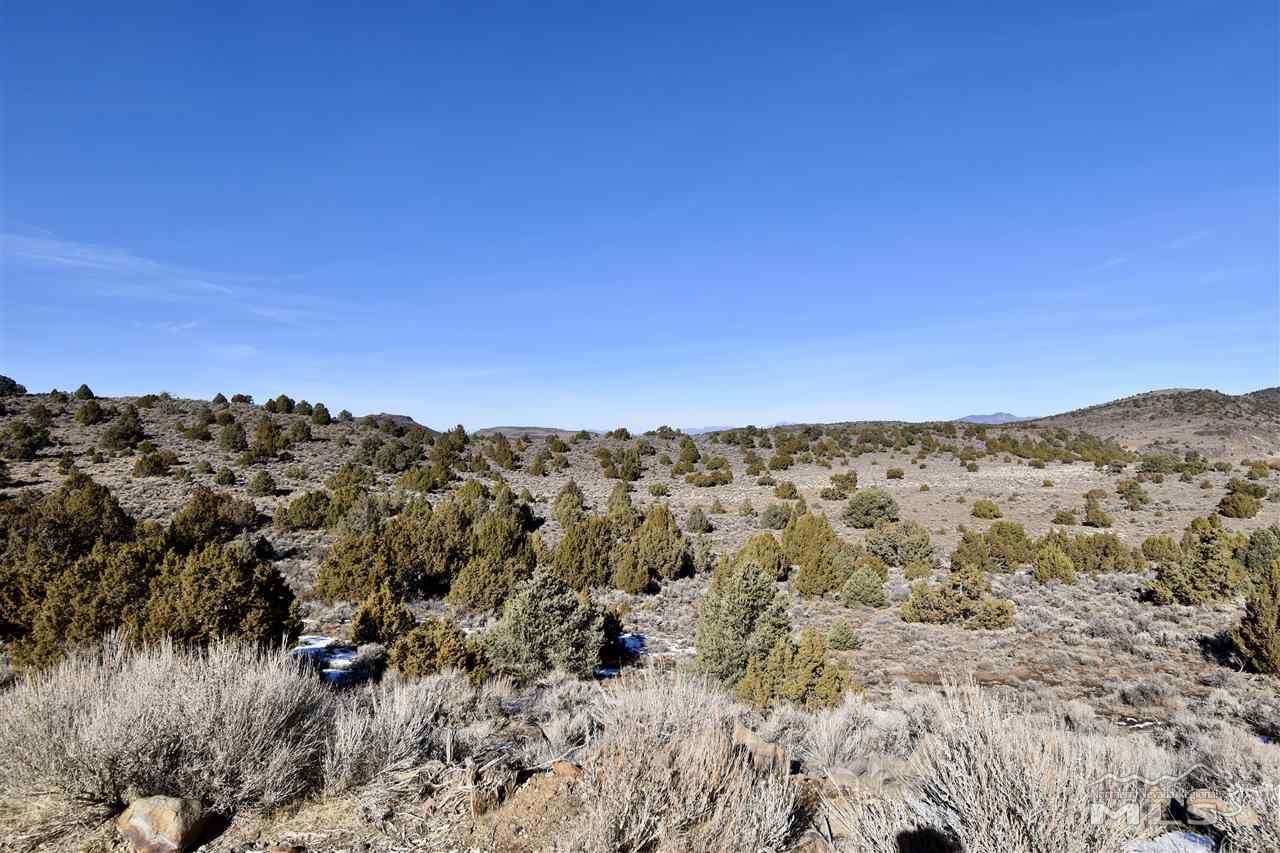 Reno, Storey County, NV Undeveloped Land for sale Property ID