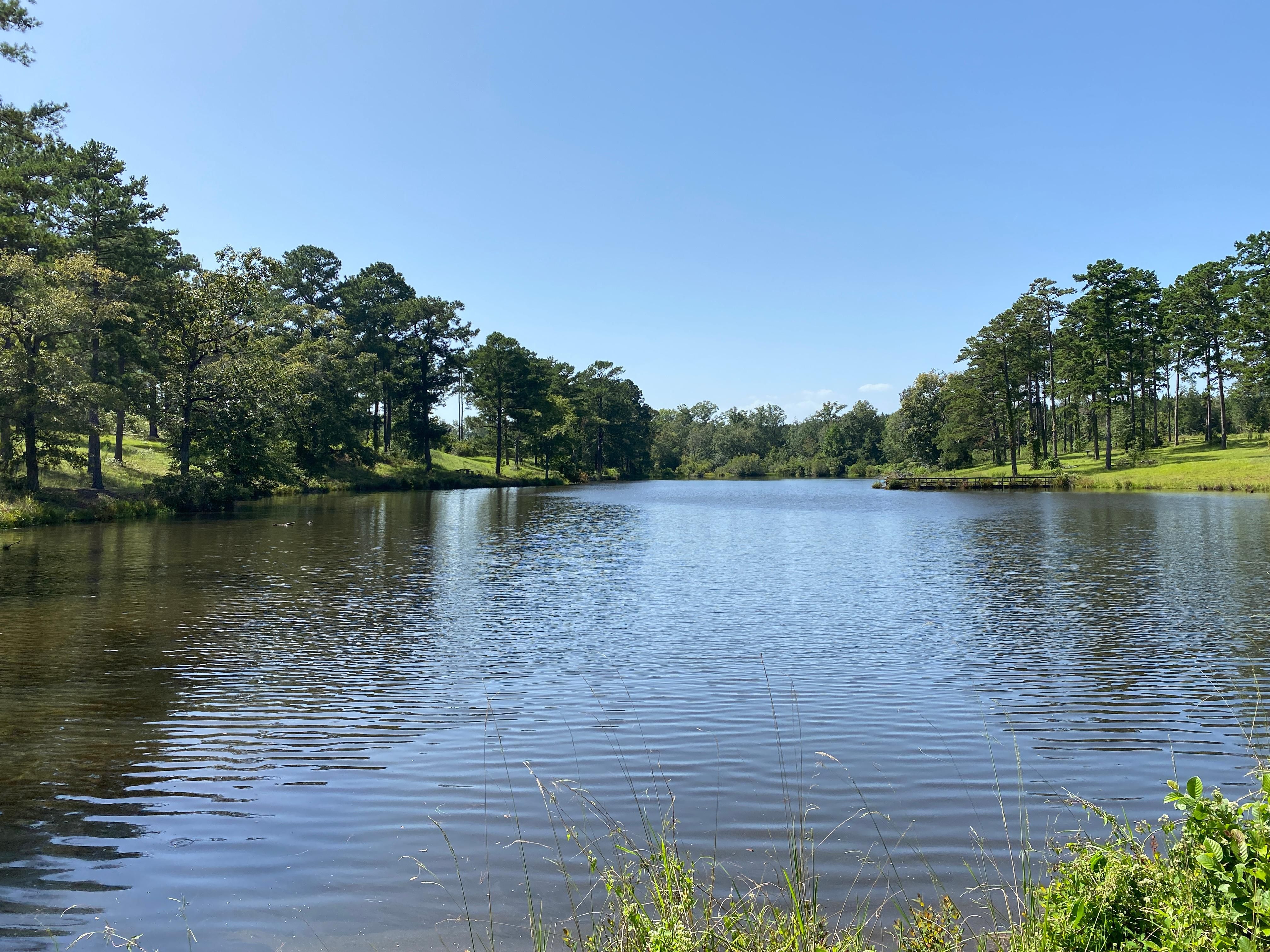 Shorterville, Henry County, AL Timberland Property, Hunting Property