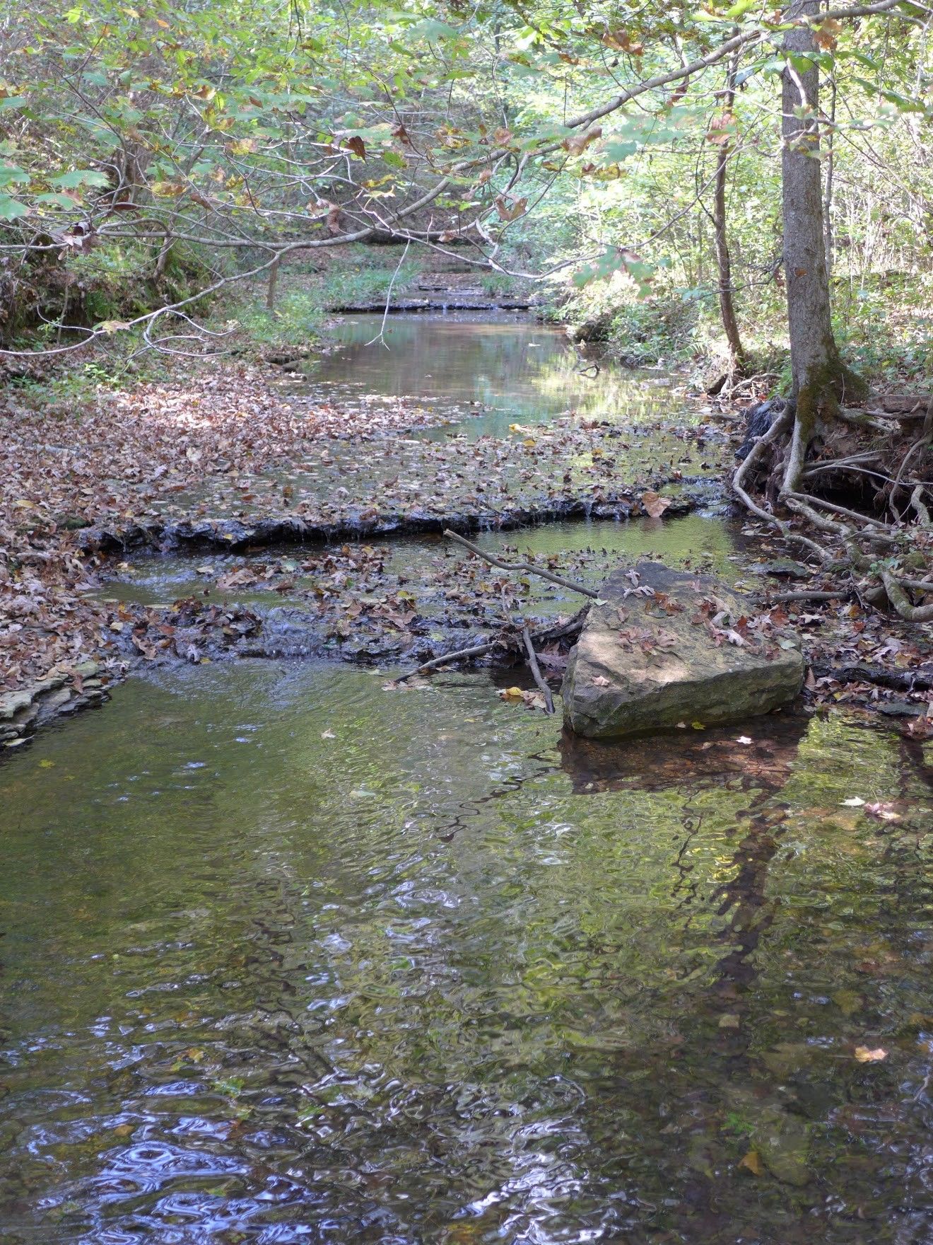 Kingston Springs, Cheatham County, TN Undeveloped Land for sale