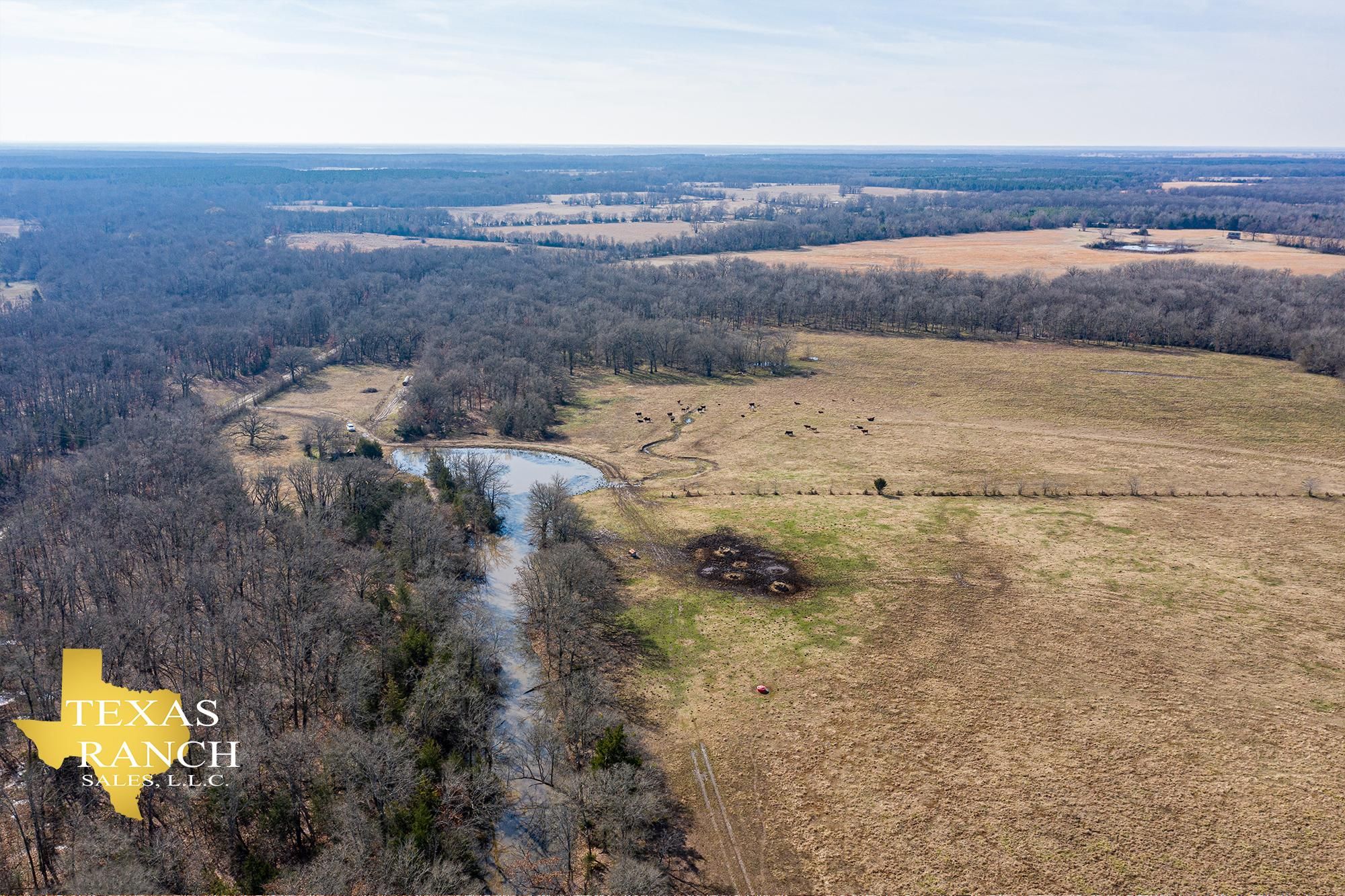 Bogata, Red River County, TX Farms and Ranches, Recreational Property