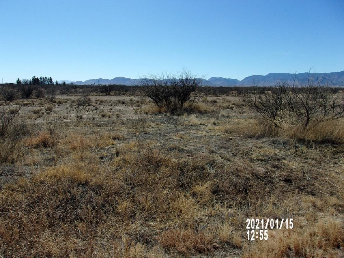 Willcox, Cochise County, AZ Farms and Ranches, Undeveloped Land for sale Property ID 338955467