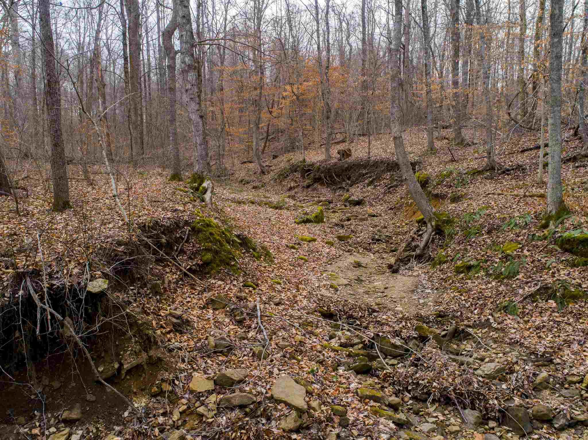 Springville, Lawrence County, IN Undeveloped Land for sale Property ID