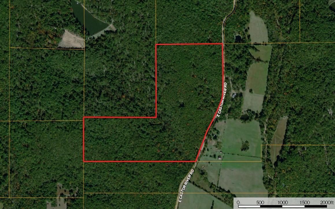 Fredericktown, Saint Francois County, MO Timberland Property