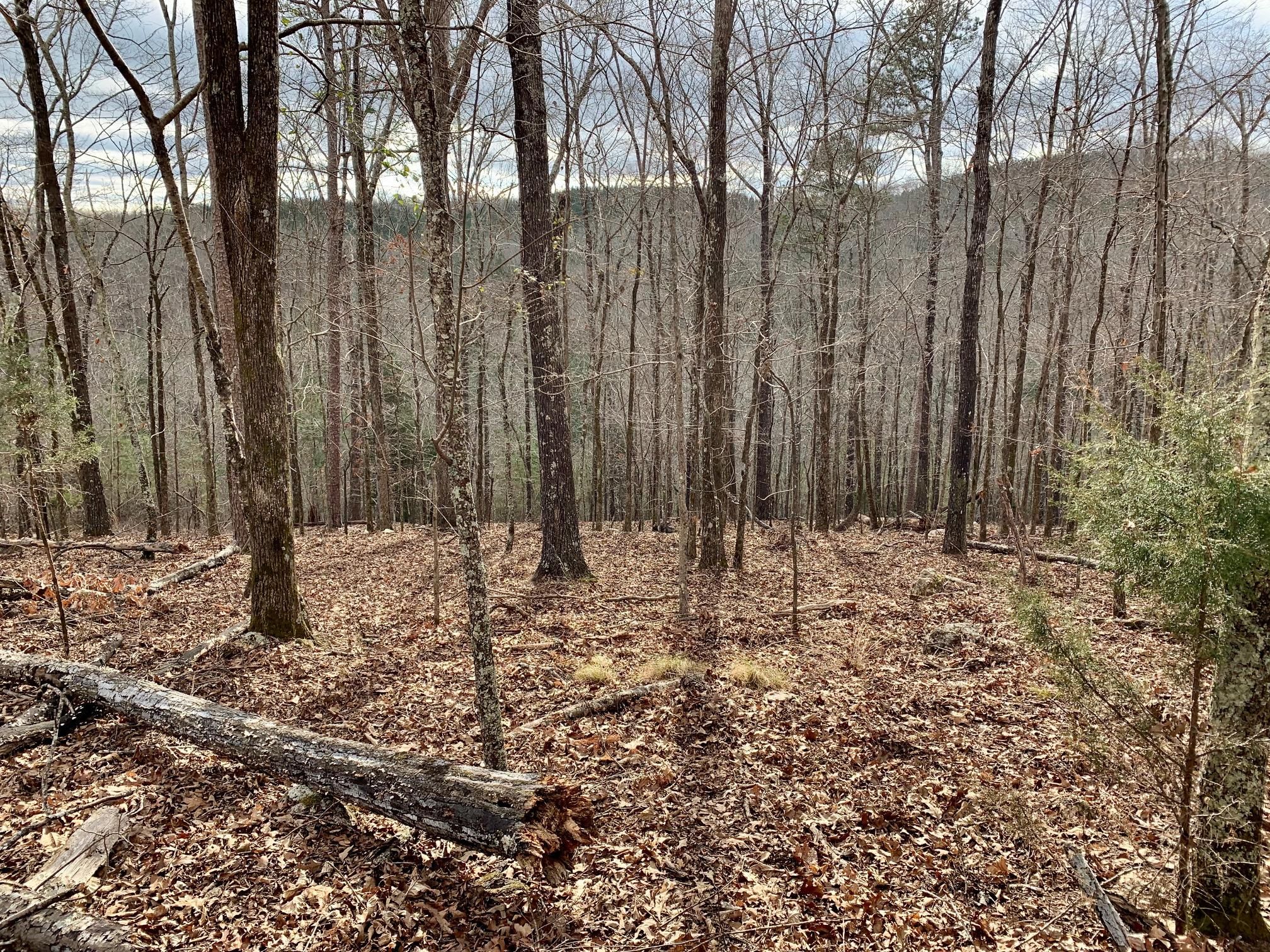 Cave Spring, Polk County, GA Recreational Property, Undeveloped Land, Hunting Property for sale