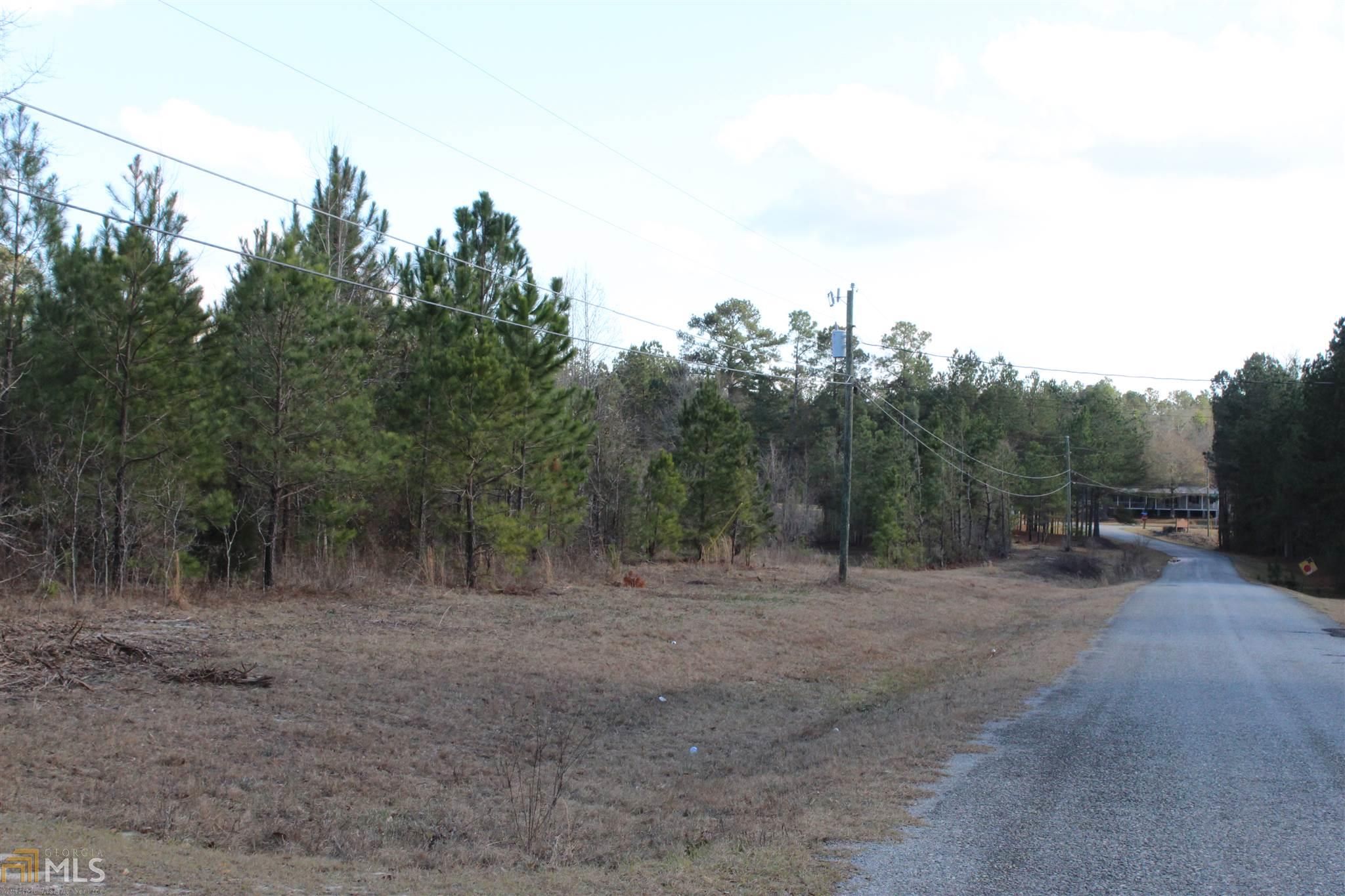 Eastman, Dodge County, GA Undeveloped Land for sale Property ID