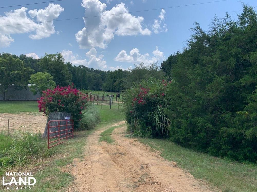 Sallis, Attala County, MS Recreational Property, Timberland Property