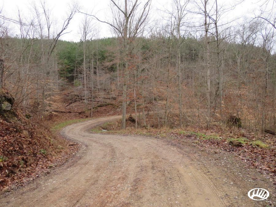 Lick Run Road, Lot WP003, Palestine, WV 26160 LandWatch