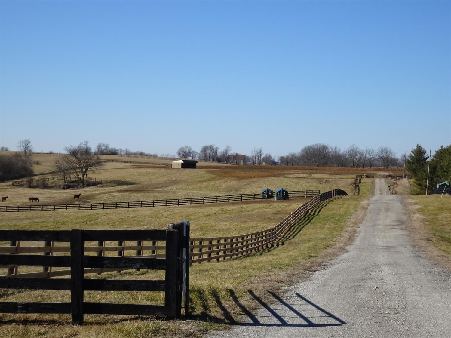 Versailles, Woodford County, KY Farms and Ranches for sale Property ID