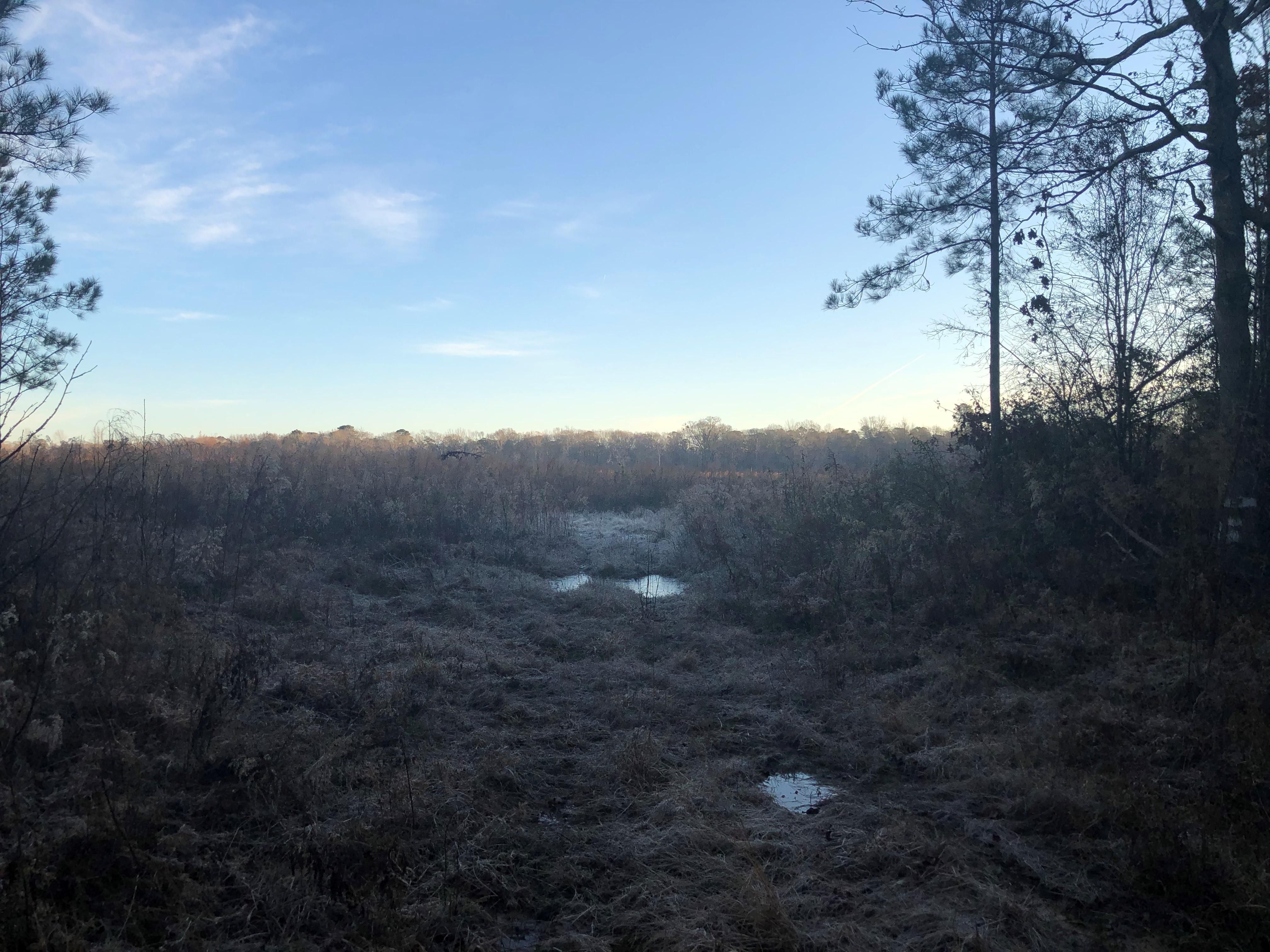 Crossett, Ashley County, AR Recreational Property, Timberland Property