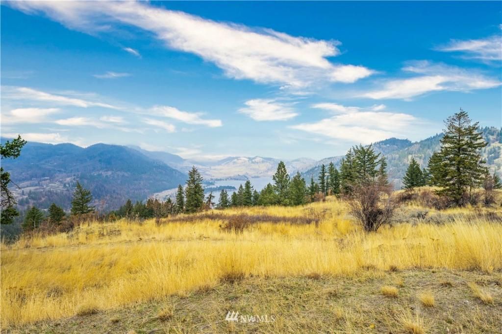 Tonasket, Okanogan County, WA Undeveloped Land for sale Property ID