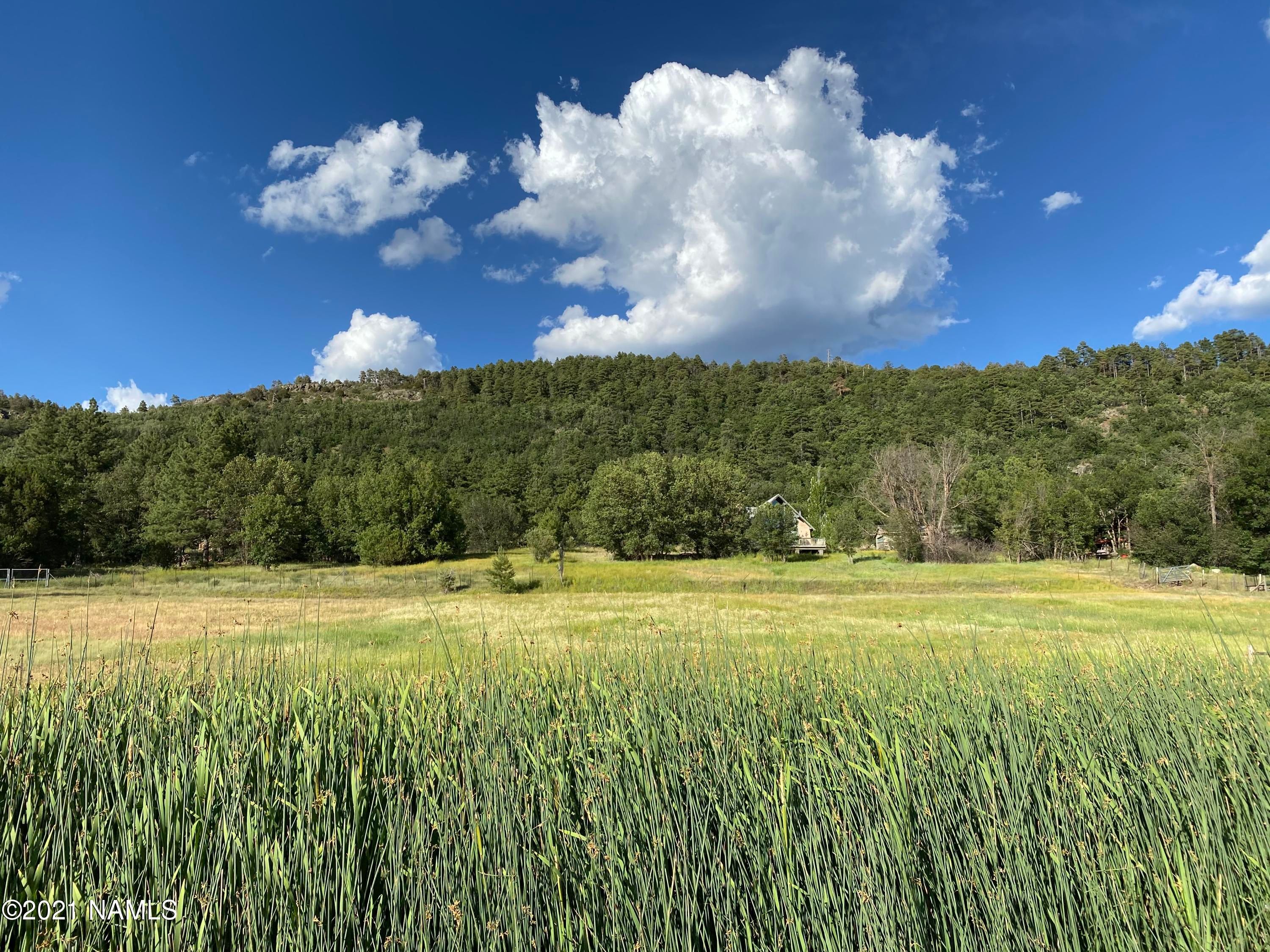 Stoneman Lake, Coconino County, AZ Farms and Ranches, Homesites for