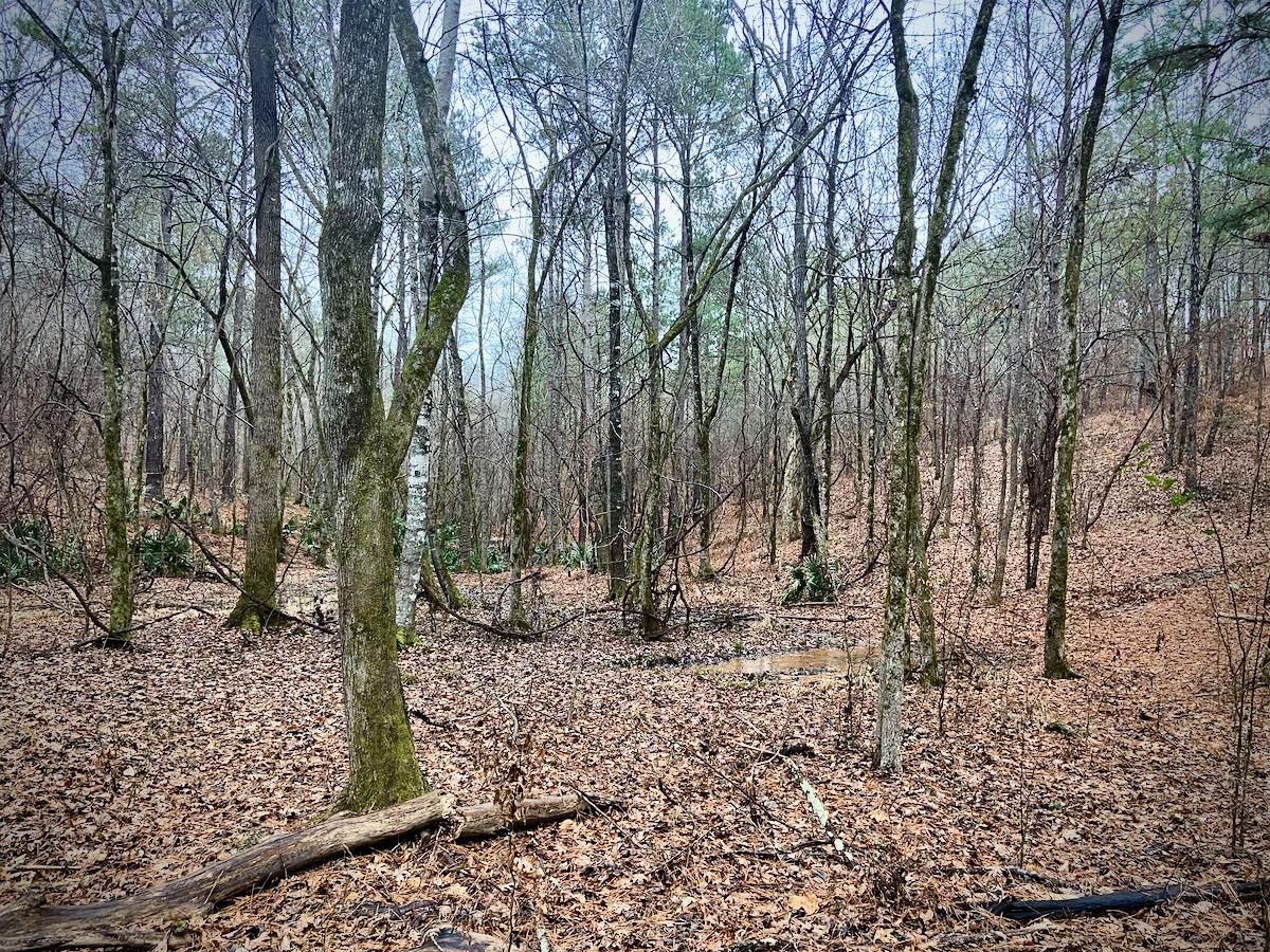 Roberta, Crawford County, GA Recreational Property, Timberland Property