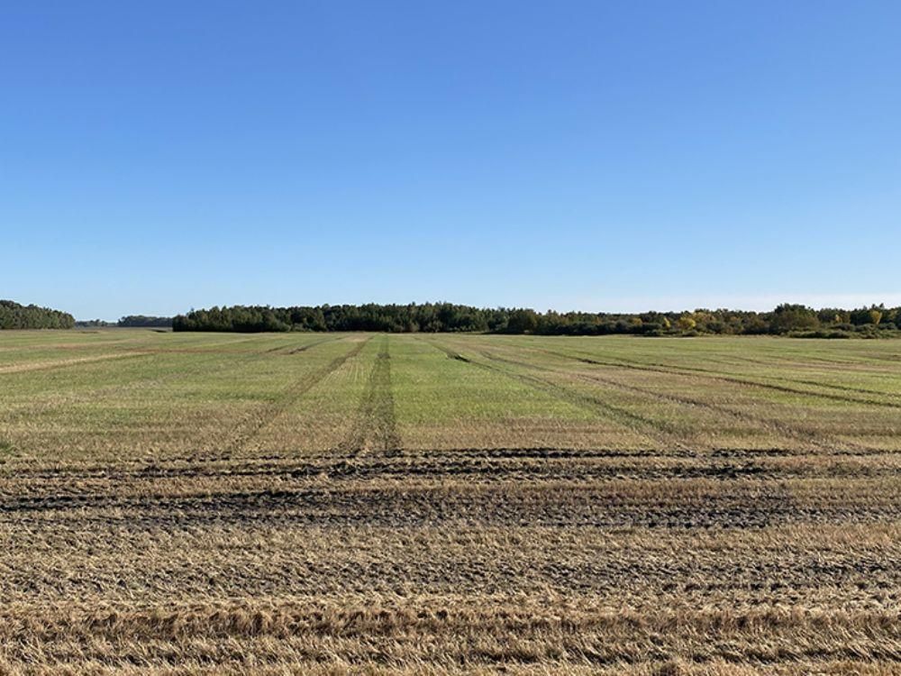 2,729 acres in Manvel, ND, LandWatch