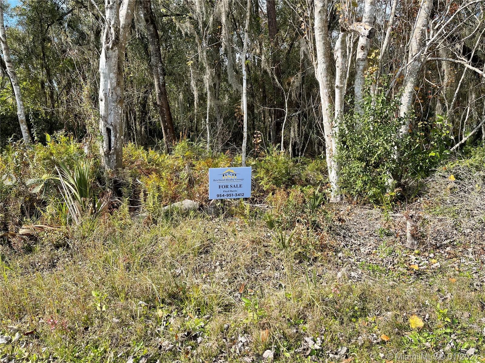 Frostproof, Polk County, FL Commercial Property, Lakefront Property