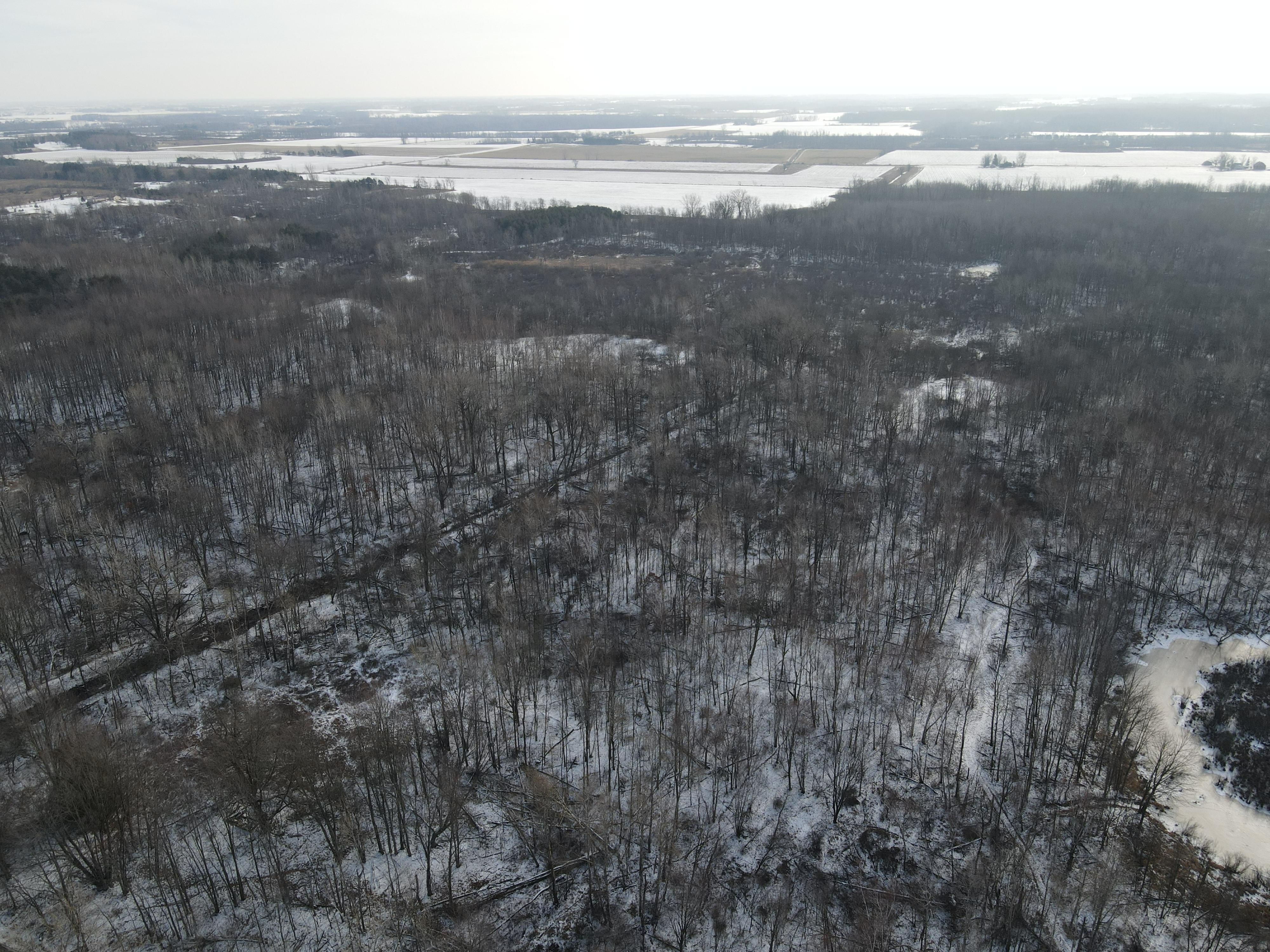 Kingston, Tuscola County, MI Recreational Property, Hunting Property for sale Property ID