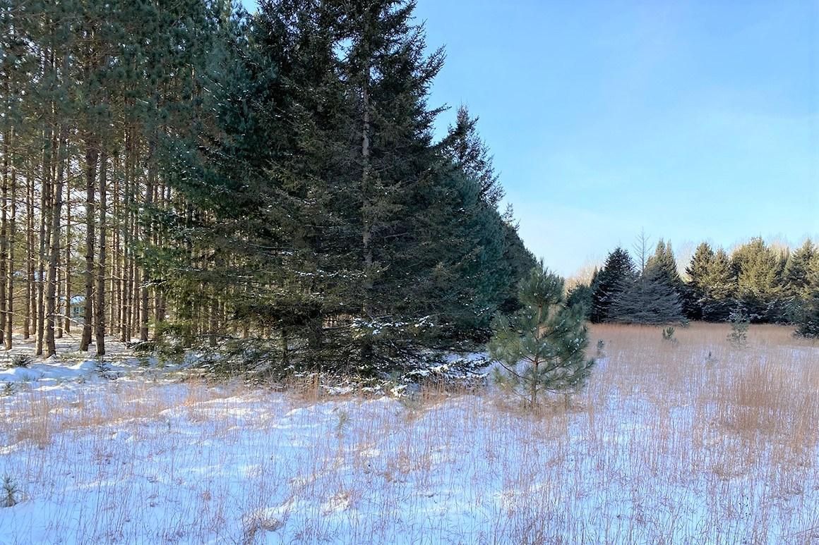 Wausaukee, County, WI Recreational Property, Hunting Property