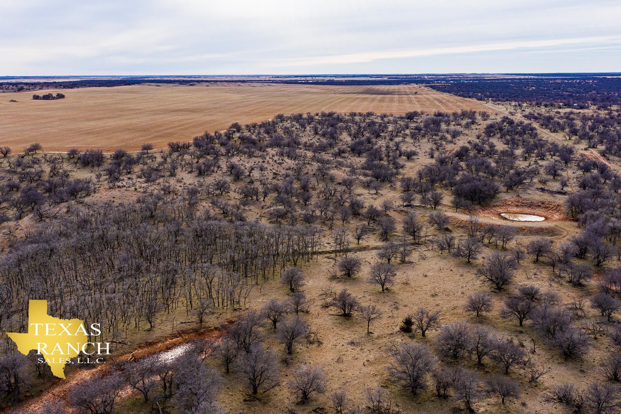 Quanah, Hardeman County, TX Farms and Ranches, Recreational Property