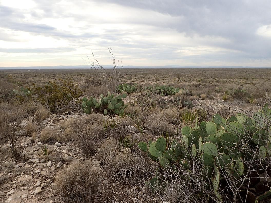 Sanderson, Terrell County, TX Farms and Ranches, Recreational Property
