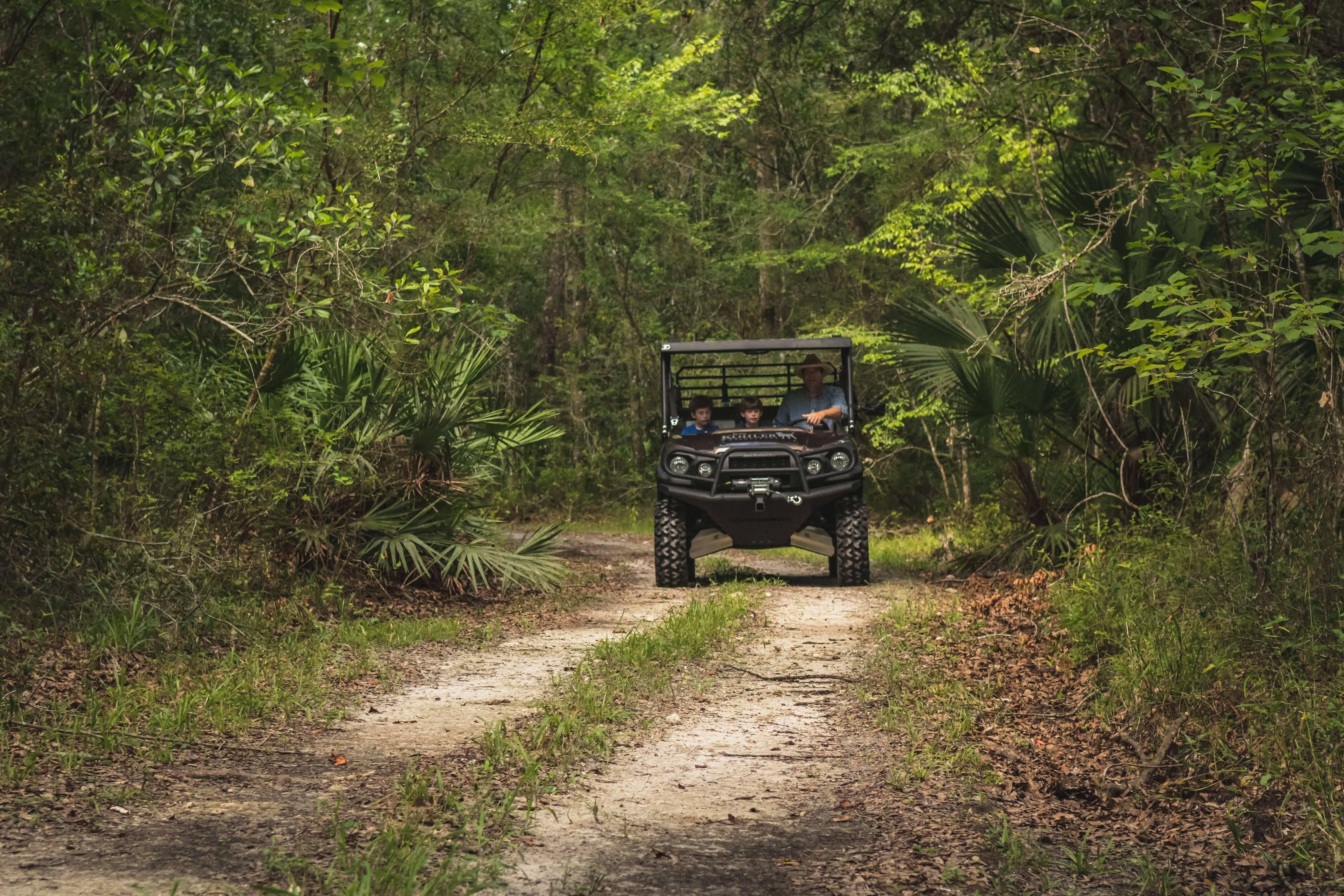 Cross City, Dixie County, FL Recreational Property, Timberland Property